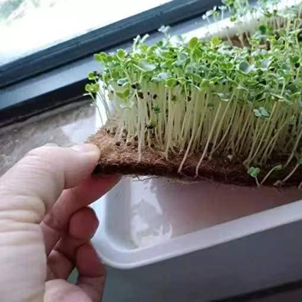 1 ロールファイバーマット堆肥化用ビンガーデン堆肥化マットプ - Biodegradable Bin Liner のレビューと価格